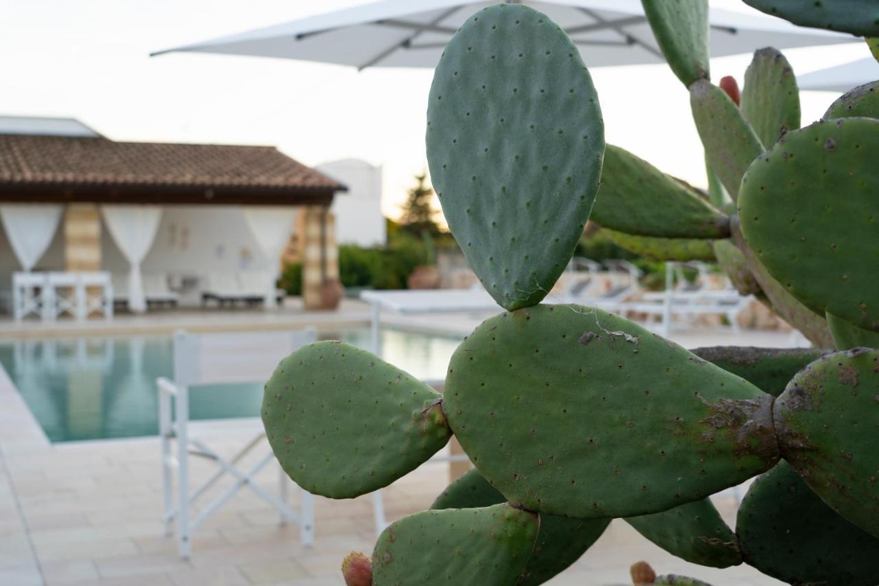 Masseria Tenuta Flora Maria เลเวราโน ภายนอก รูปภาพ
