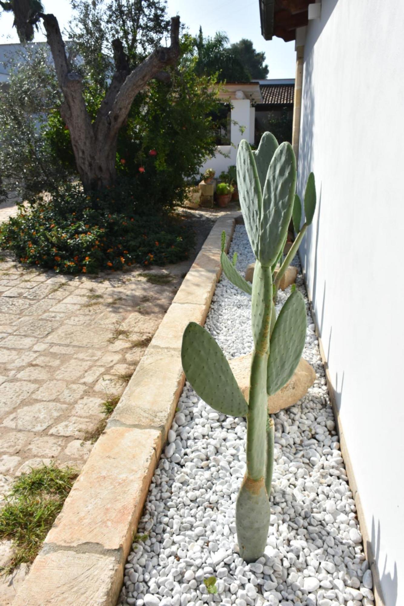 Masseria Tenuta Flora Maria เลเวราโน ภายนอก รูปภาพ